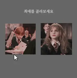 최애 고르기