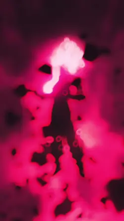 goku transform