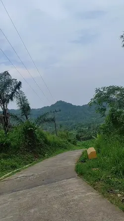 Vibes Jalan