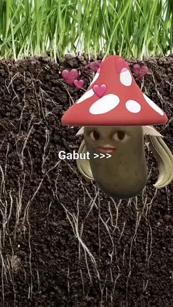 Snapchat 