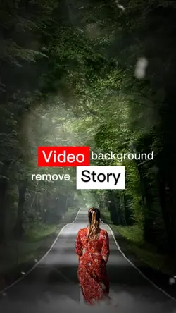 Video Story