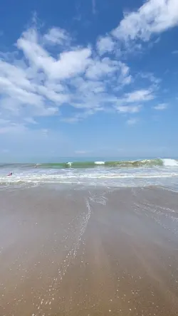 vlog