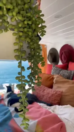 VLOG