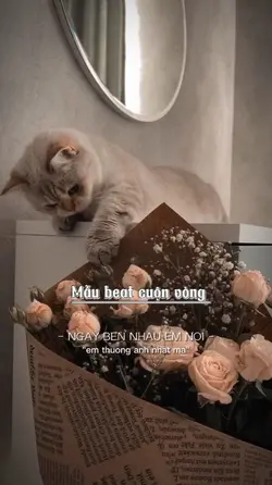 Em chỉ con tình yêu 