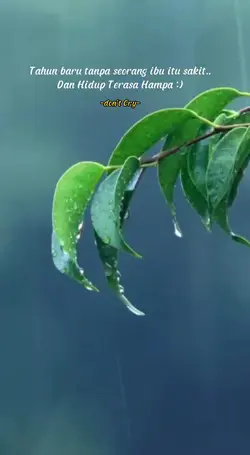 tahun baru berat