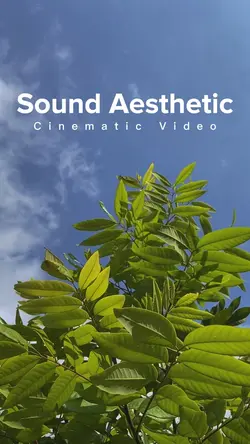 Cinematic Aesthetic