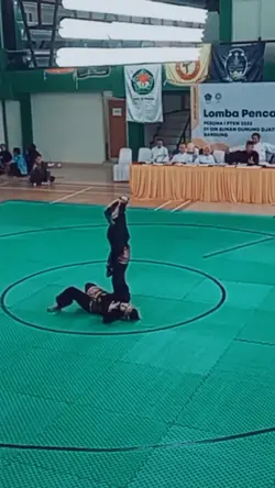 story' silat