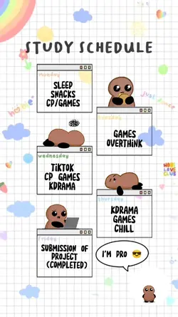 STUDY SCHEDULE