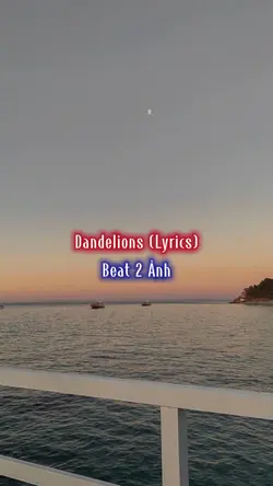 Dandelions
