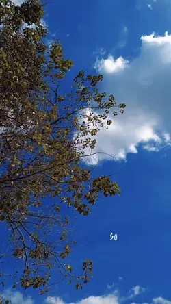 sky aesthetic