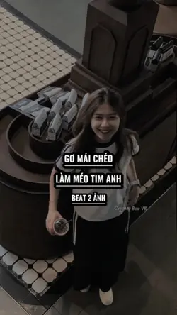 [2] Gơ Mái Chéo