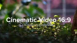 Cinematic Estetik