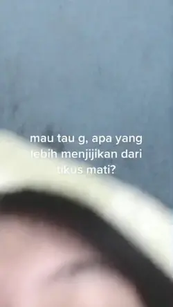 ezzz