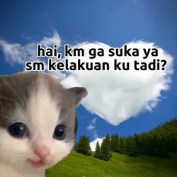 maaf