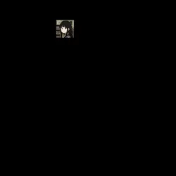 Trend tiktok