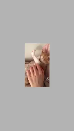#Deepain