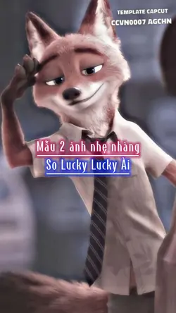 Mẫu 2 ảnh nhẹ nhàng