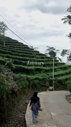 January dump