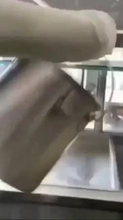 tugtudogtug