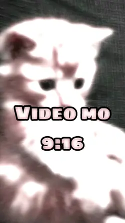 New template 