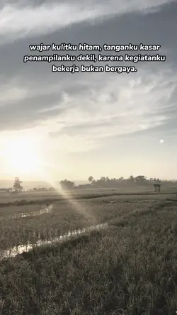 kegiatanku bekerja
