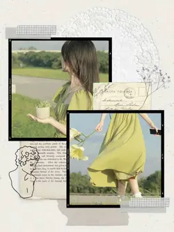 mẫu 2 ảnh 