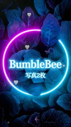 Bumblebee 📸2枚