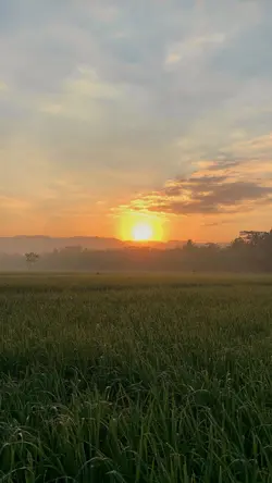 2 mentahan | vibes