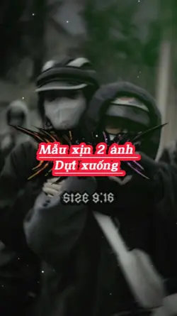 Mẫu xịn 2 ảnh 