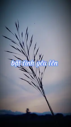 mẫu 27 ảnh, nhóm 26