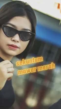 sekuntum mawar merah