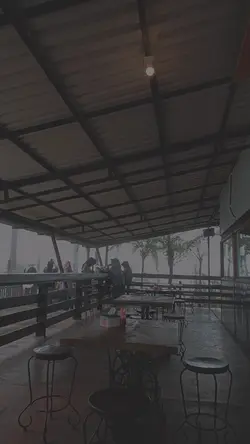 aesthetic