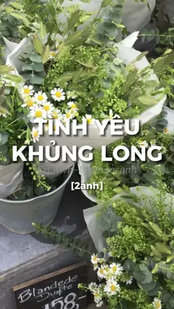 Tình yêu khủng long