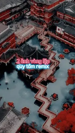 Quy tầm remix