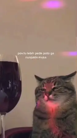 poto gak nunjukin