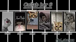 Versi Collab Ber 6