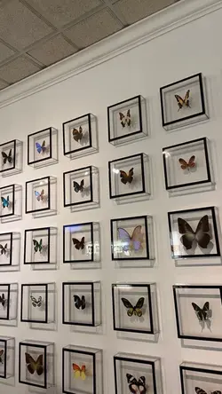 10 รูปซ้ำ