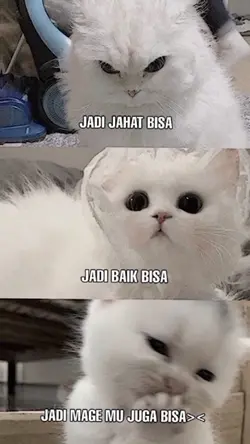 User Mage Mana Nih