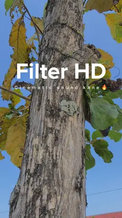Cinematic Filter HD