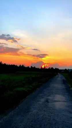 1 ảnh 