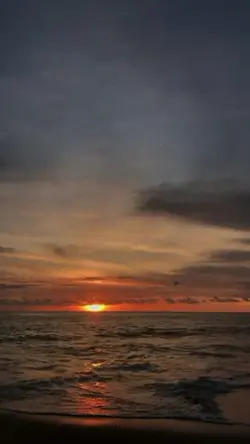 Aesthetic