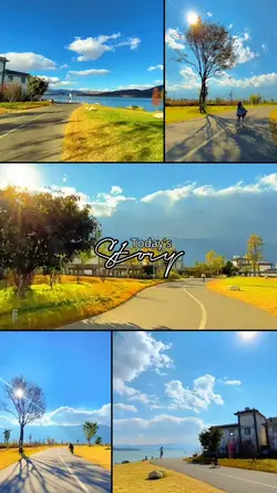 VLOG GRID 14.02
