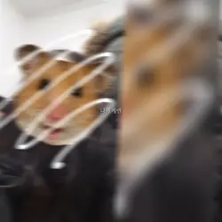 선물