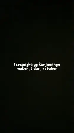 Kucing