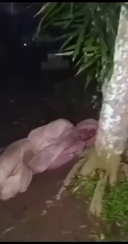 pocong jatoh