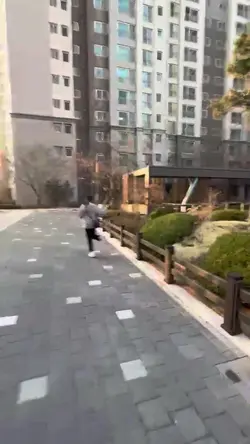 학교 생활