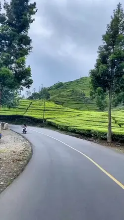 slowmo estetik galau
