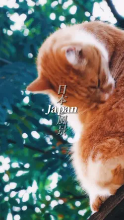 美しい景色を動画に!!クリップ数は14