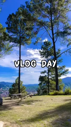 daily vlog