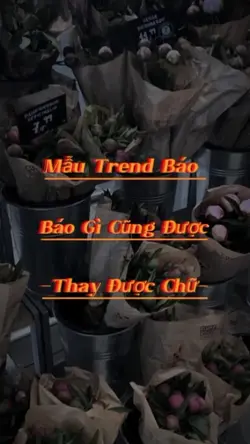 Mẫu Báo Không Lời[2]